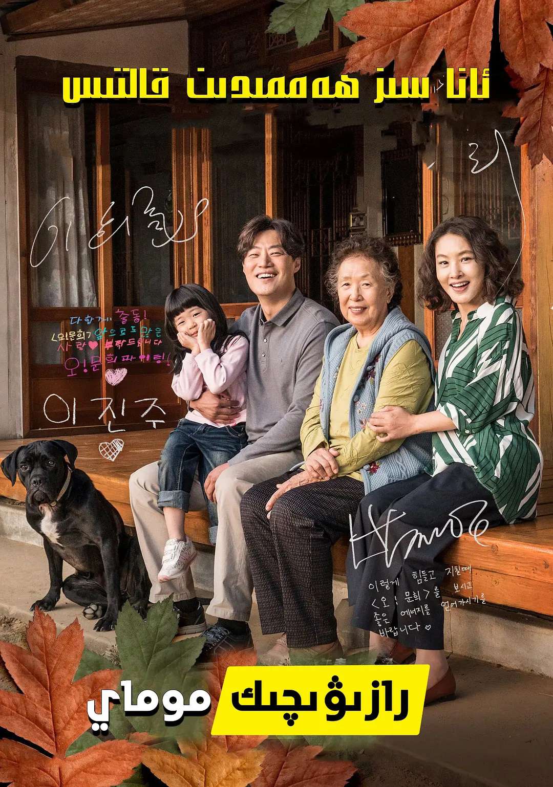 رازۋىچىك موماي