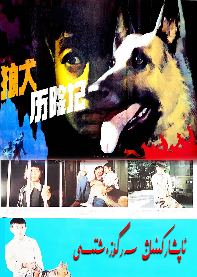 ئاپشاركىنىڭ سەرگۈزەشتىسى