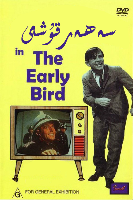 ســــــــــەھەر قۇشى